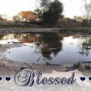 Meet your Posher, Joy